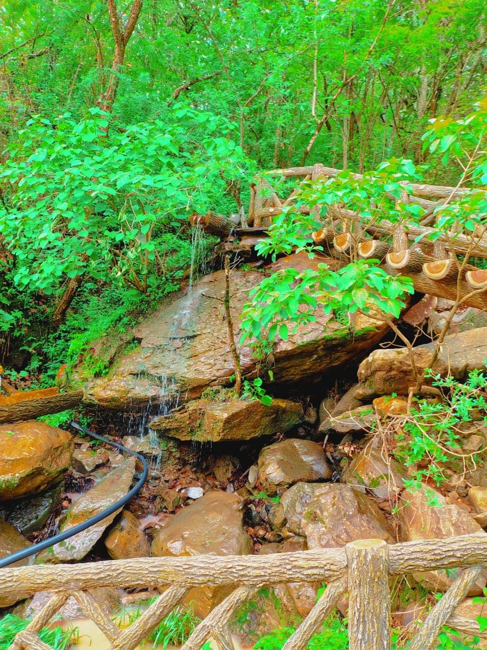 Hotel & Resort Oasis Mazamitla imagen 5